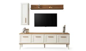 BSD Cabinet TV