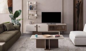 Monas Cabinet TV