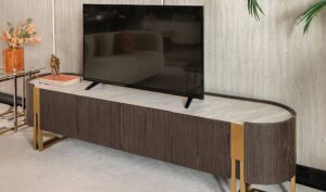 Penjaringan Cabinet TV