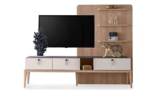 Tebet Cabinet TV