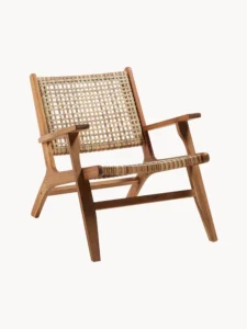 Aditya Lounge Chair