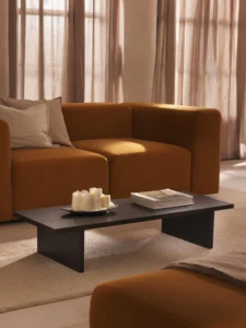 Nivra coffee Table